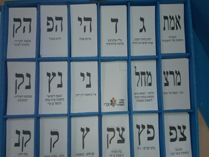 בחירות 2013