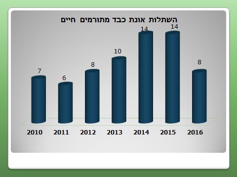 השתלות אונת כבד מתורמים חיים