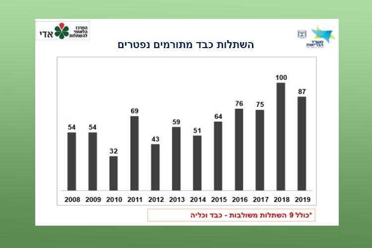 השתלות כבד מתורמים נםפטרים