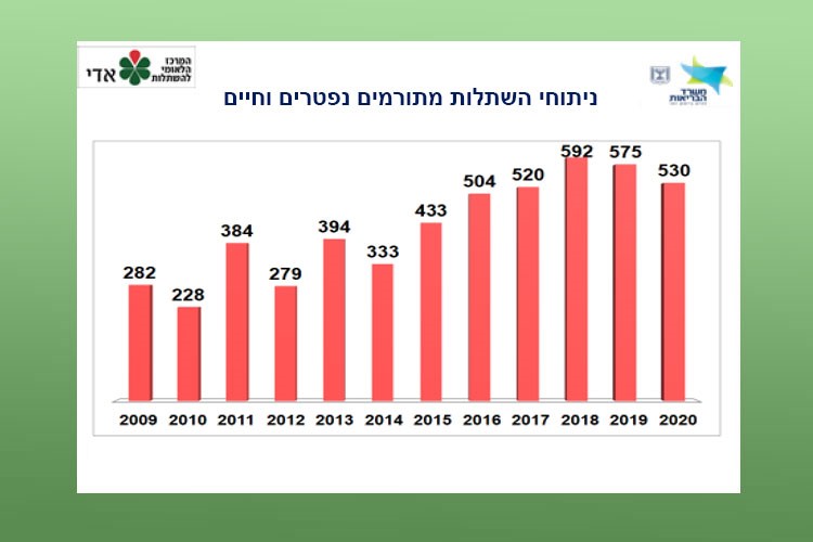 ניתוחי השתלות מתורמים נפטרים וחיים