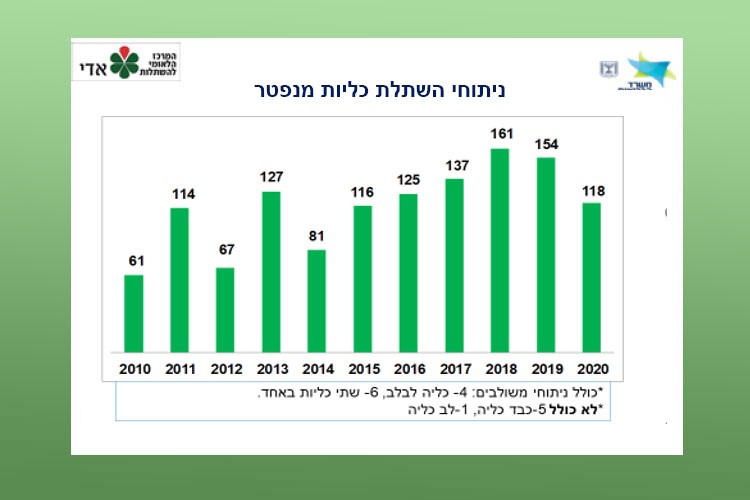 ניתוחי השתלת כליות מנפטר