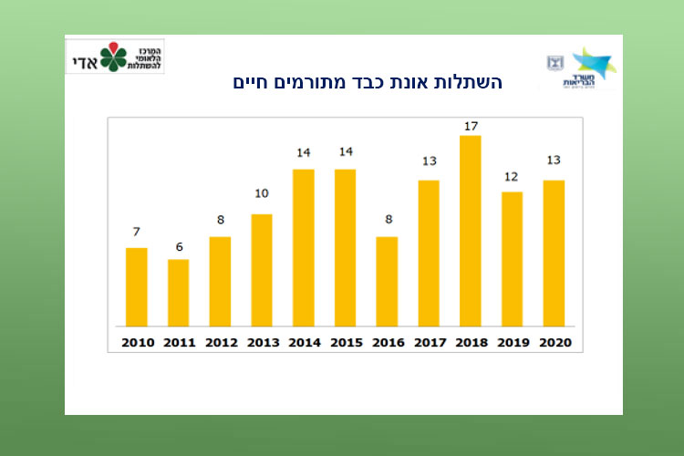 השתלות אונת כבד מתורמים חיים