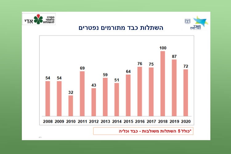 השתלות כבד מתורמים נפטרים