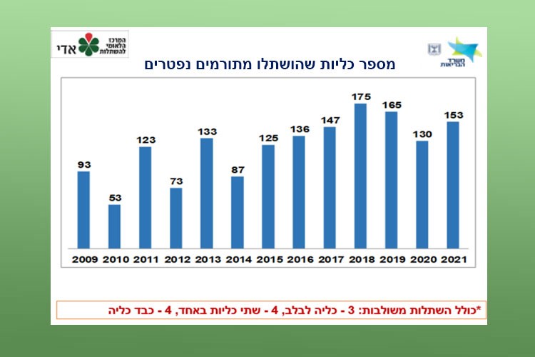 מספר כליות שהושתלו מתורמים נפטרים