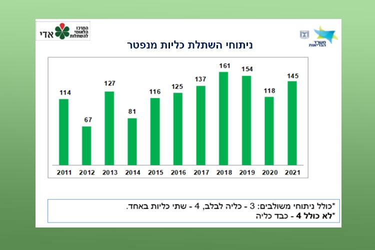 ניתוחי השתלת כליות מנפטר