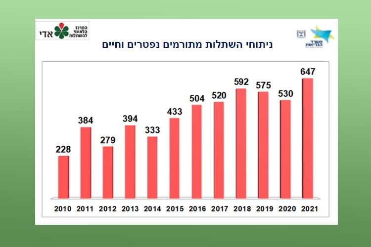 ניתוחי השתלות מתורמים נפטרים וחיים