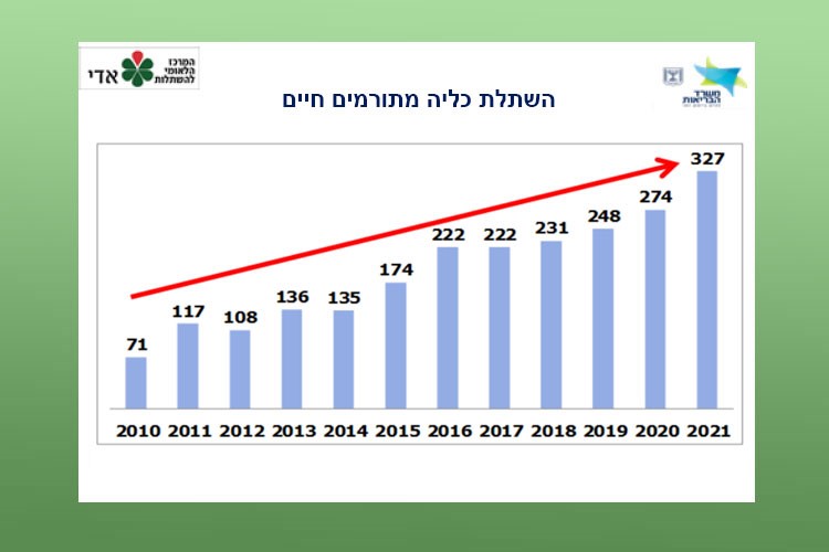 השתלת כליה מתורמים חיים