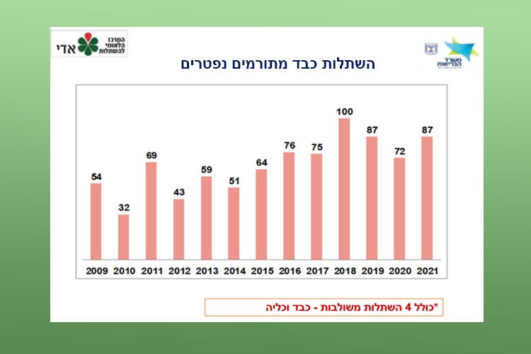 השתלות כבד מתורמים נפטרים