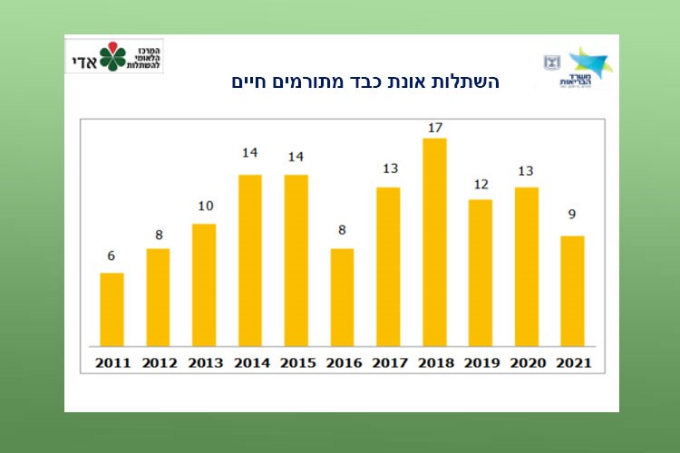 השתלות אונת כבד מתורמים חיים