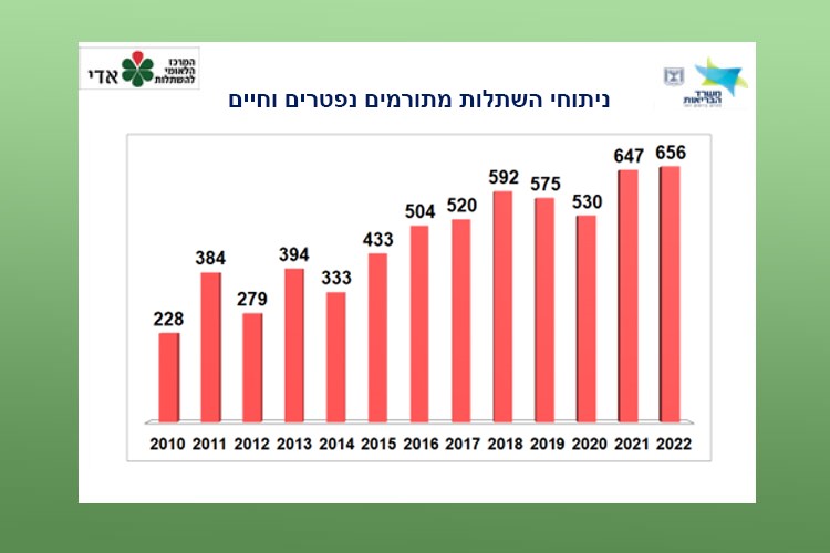 ניתוחי השתלות מתורמים נפטרים וחיים