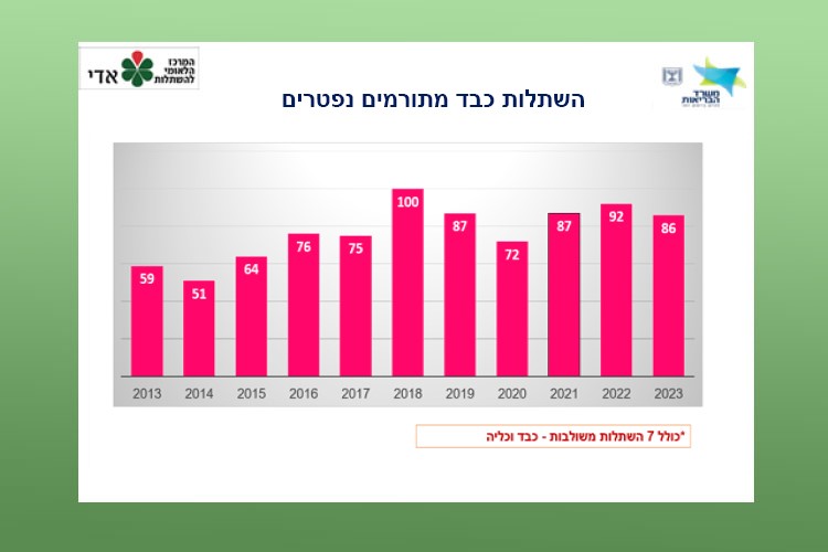 השתלות כבד מתורמים נפטרים