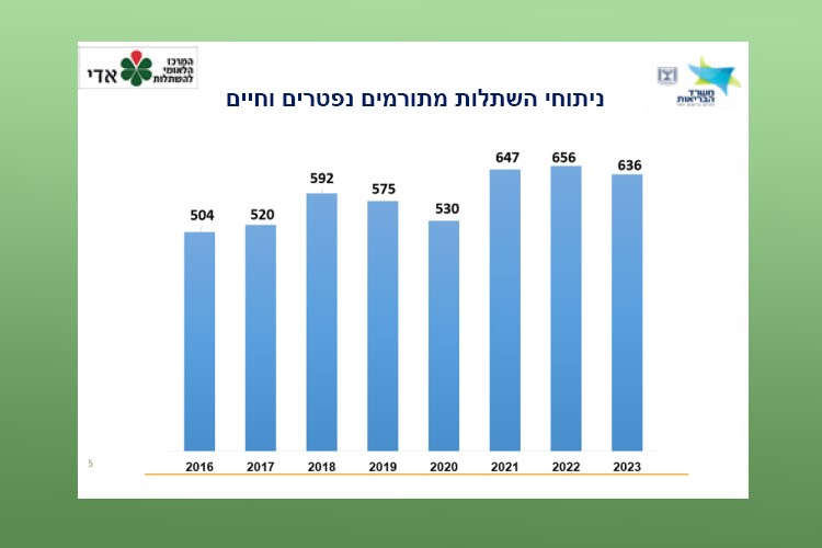 ניתוחי השתלות מתורמים נפטרים וחיים