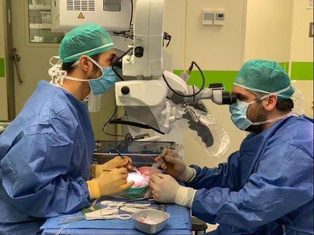 Dovrut-Adasa-2 (1).jpg