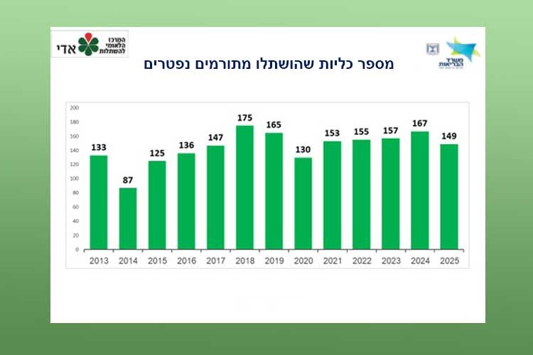 גרף מספר כליות שהושתלו מתורמים נפטרים