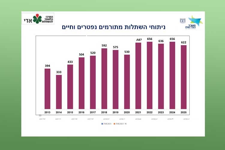 גרף ניתוחי השתלות מתורמים נפטרים וחיים